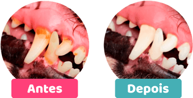 Comparação Antes e depois do produto