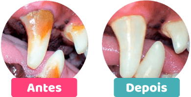 Comparação Antes e depois do produto